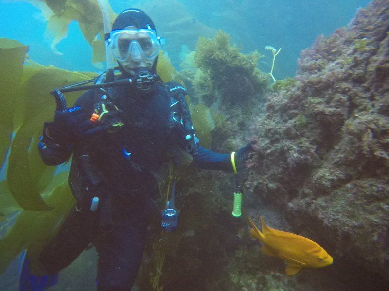 Scuba diving at Catalina Island